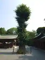 宗像大社中津宮(福岡県)