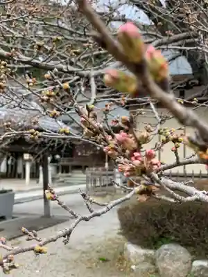 加茂別雷神社の庭園