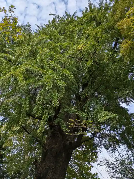 芝東照宮(東京都)