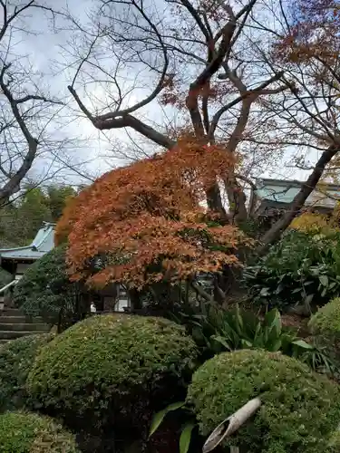 報国寺の庭園