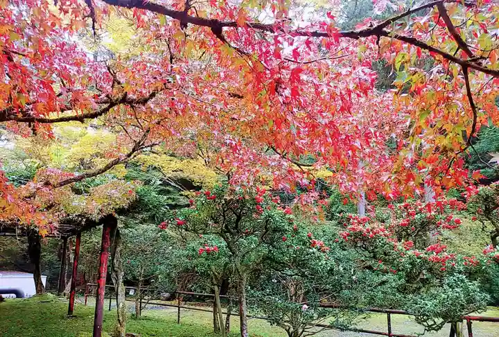 石山寺(滋賀県)