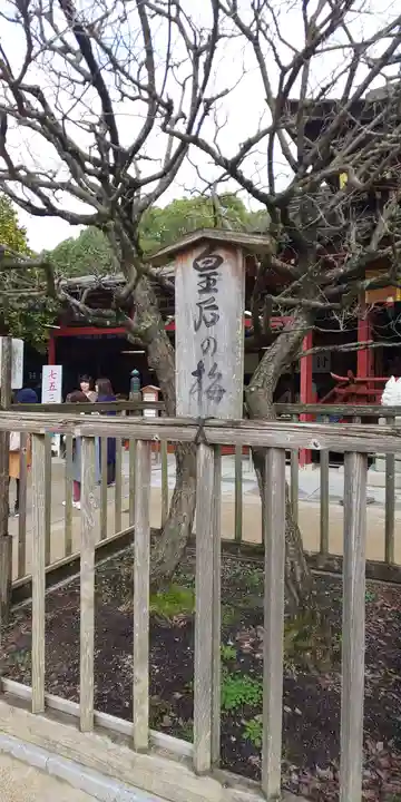 太宰府天満宮の自然