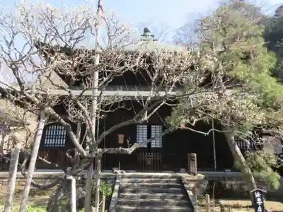 瑞泉寺の本殿・本堂