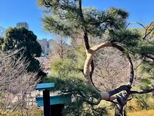 清水観音堂(東京都)