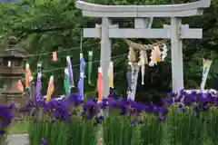 高司神社〜むすびの神の鎮まる社〜の鳥居