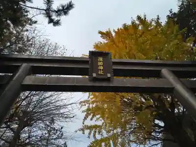 諏訪神社の鳥居