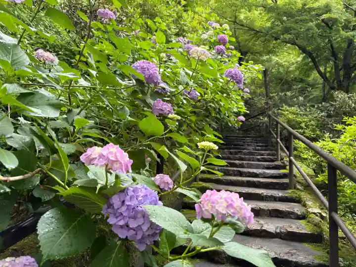 長谷寺(奈良県)