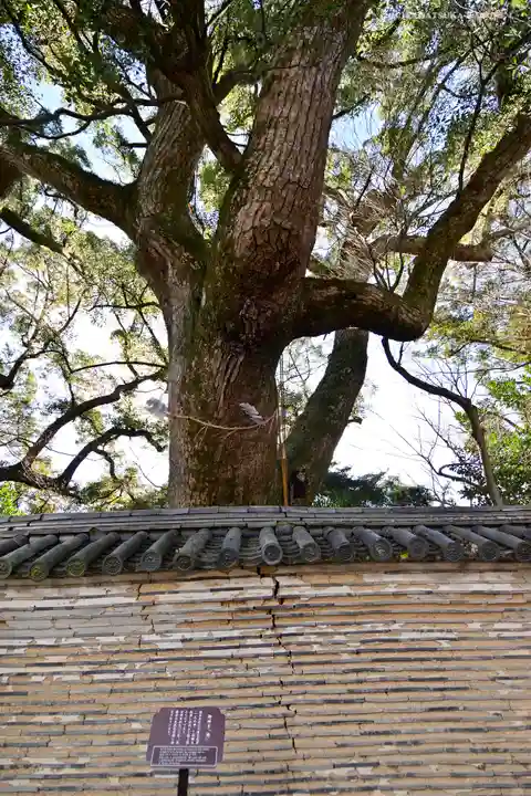 石清水八幡宮の自然