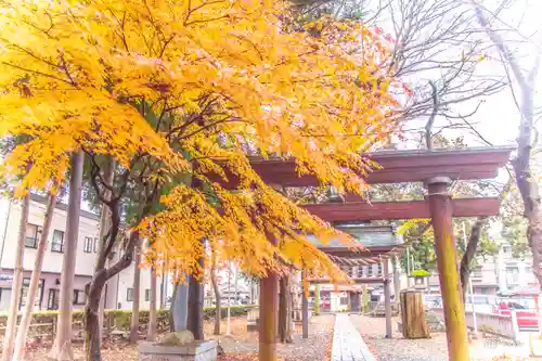 住吉神社(岩手県)