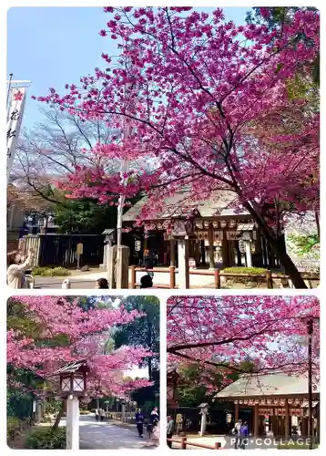 櫻木神社(千葉県)