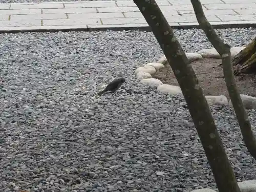 諏訪大社下社春宮(長野県)