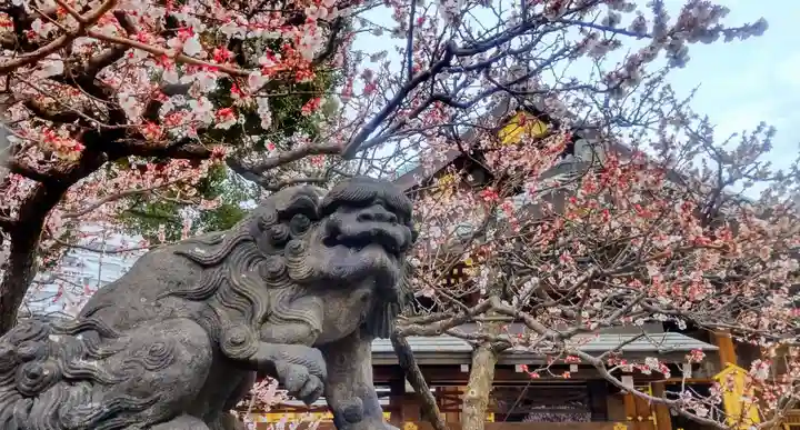 湯島天満宮(東京都)