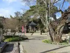 與楽寺の建物その他