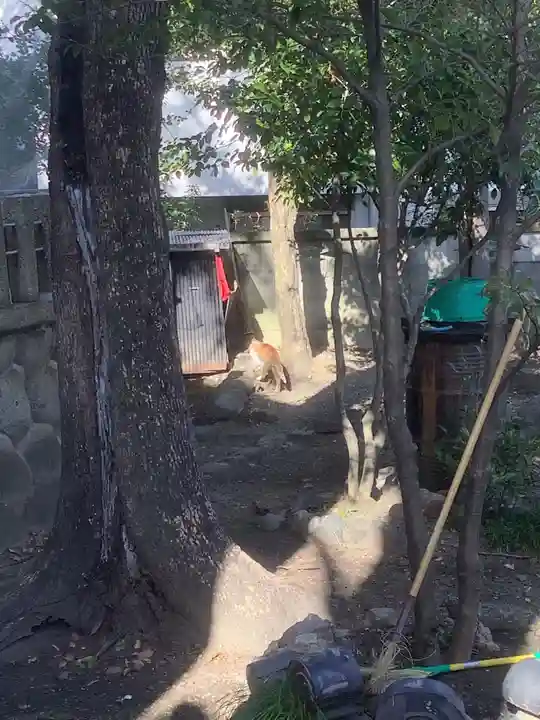 冨士八幡社(愛知県)