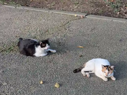 春日神社(神奈川県)