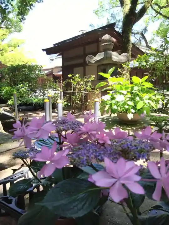 筥崎宮(福岡県)