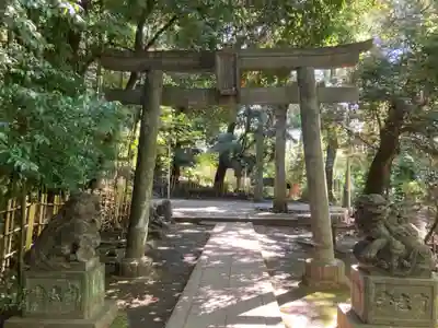 渋谷氷川神社(東京都)
