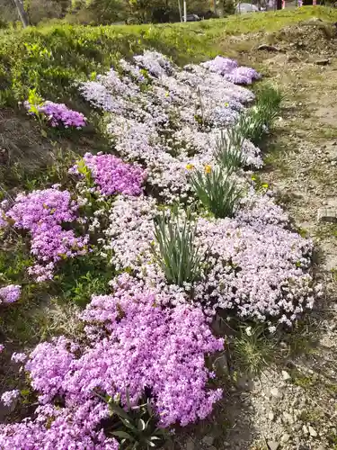高司神社〜むすびの神の鎮まる社〜(福島県)
