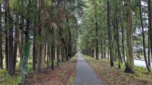 小村神社の景色