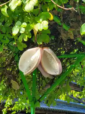 沙沙貴神社(滋賀県)