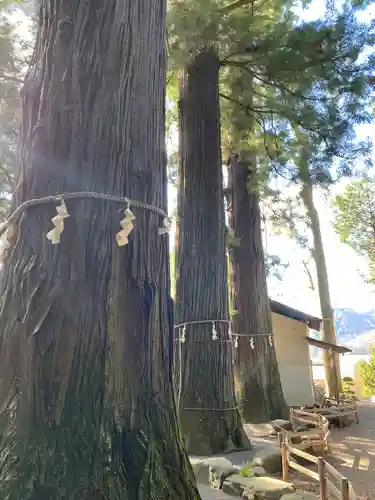 河口浅間神社(山梨県)
