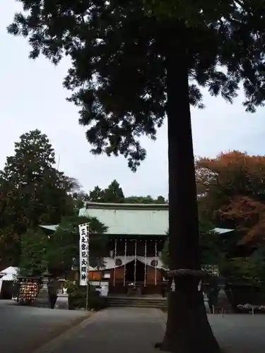 比々多神社の本殿