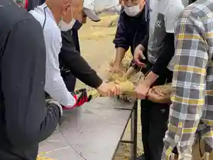 許麻神社(大阪府) 2023年12月03日(日)〜(2023年11月26日(日) 15時03分48秒投稿)