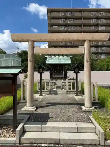 千代ケ丘椿神社（千代が丘）の鳥居