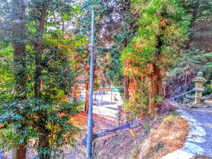 神明神社の自然