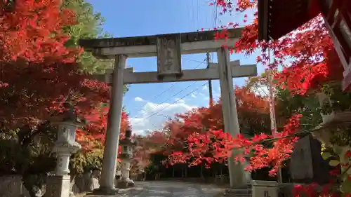 龍泉寺の鳥居