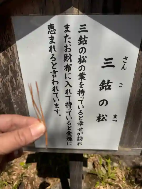 玉桂寺(滋賀県)