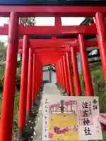 住吉神社の御朱印