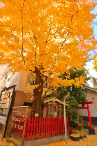 銀杏岡八幡神社(東京都)