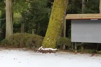 大歳神社のその他建物