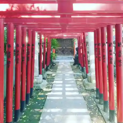 富岡八幡宮の鳥居