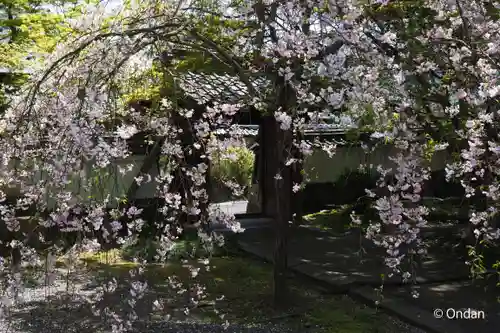 穴太寺の御朱印