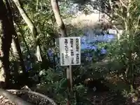 丸笠神社(伯太神社飛地境内社)の自然