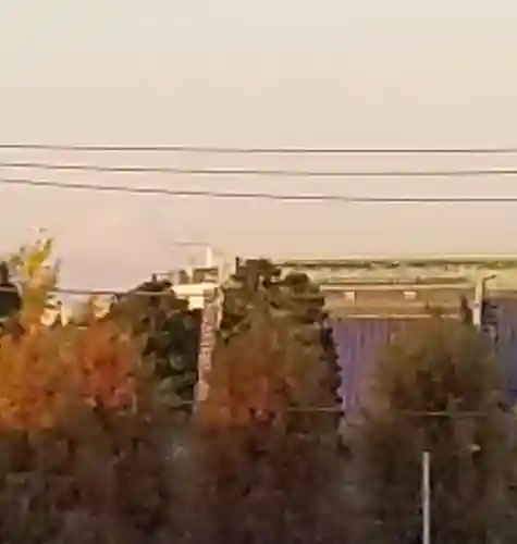 題経寺（柴又帝釈天）(東京都)