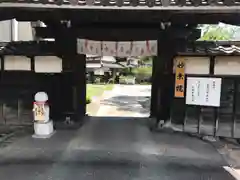 四季桜の寺 妙乗院の山門