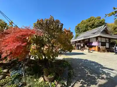 水堂須佐男神社(兵庫県)