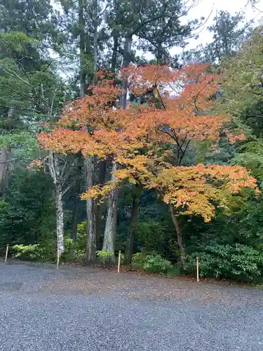 伊勢神宮内宮（皇大神宮）(三重県)