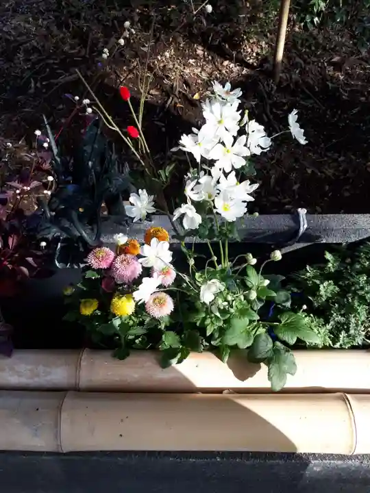 下野 星宮神社の手水舎