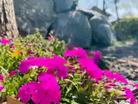 總社 和田八幡宮の自然