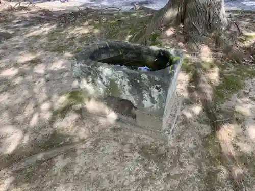 大宮神社の手水舎