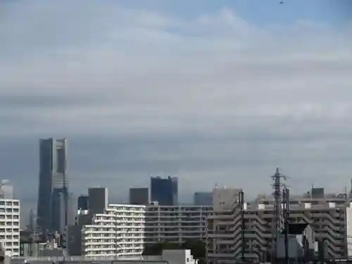 星川杉山神社の景色