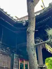 荏原神社(東京都)