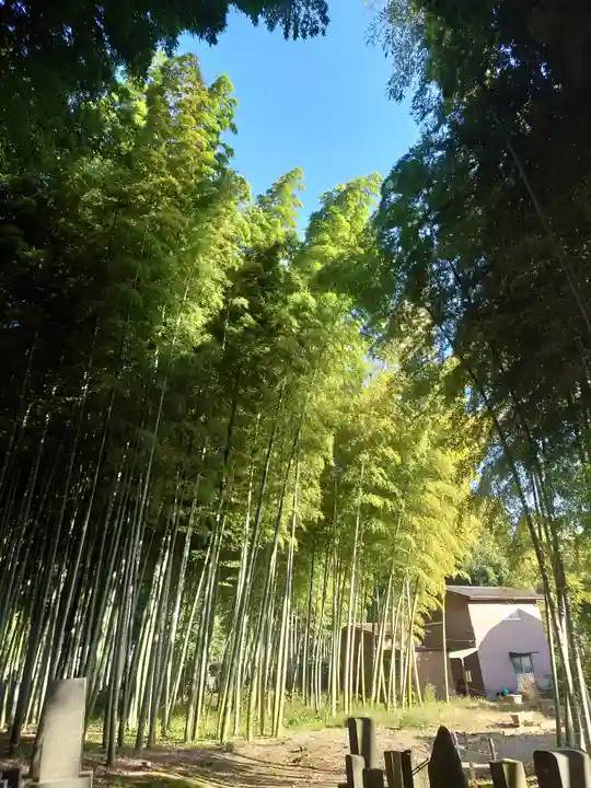 香林寺(神奈川県)