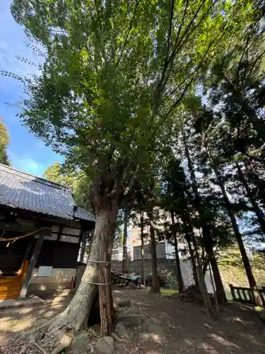 縣諏訪神社(長野県)
