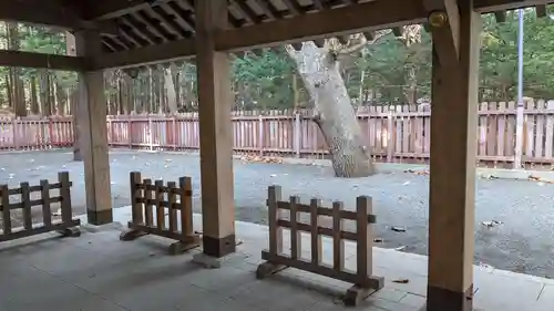 開拓神社の本殿・本堂