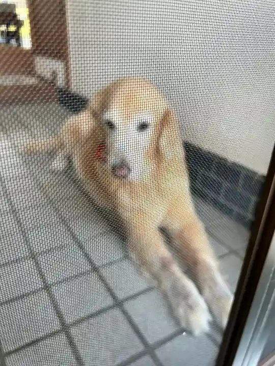 石清水神社(香川県)